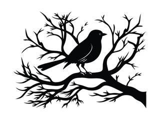 Silhouette Bird on Bare Tree Branch