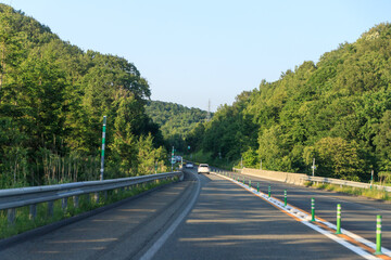 Serene Forest Road on a Sunny Day, Hokkaido, Japan