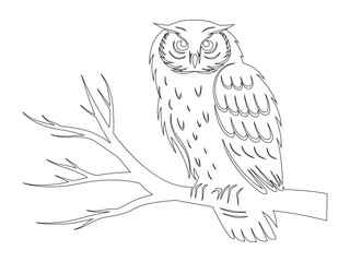 Perched Owl Line Art Silhouette on Branch Illustration