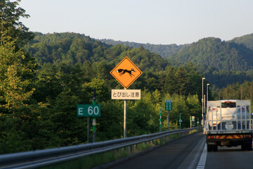 Wildlife Alert: Fox Crossing Sign in Rural Japan