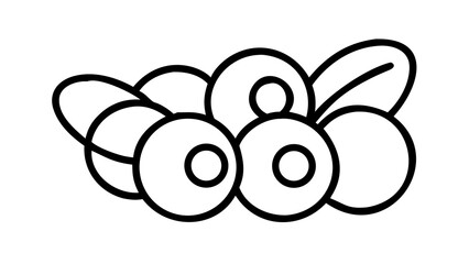 Precise outline of a blueberry cluster with overlapping circles, thin 1 pt stroke, isolated on white.

