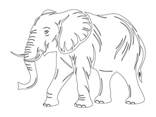 Walking Elephant Line Art Silhouette Illustration