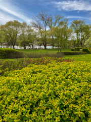 Beautiful summer landscapes in one of Minsk's parks
