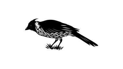 Red-crested Cardinal bird, black isolated silhouette