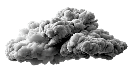 Smoky Cloud: A dramatic depiction of a dense, swirling cloud of smoke, captured in high contrast, symbolizing the raw power and impermanence of nature.
