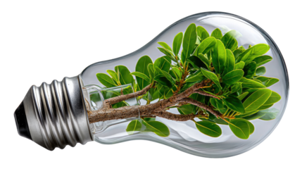 Eco-Innovation: A captivating macro shot reveals a single light bulb transformed into a verdant haven. Inside, a flourishing tree bursts forth.