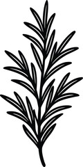Naklejka premium Vector art of a sprig of rosemary with detailed leaves