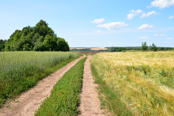 Obraz premium Dirt road through fields under a bright blue sky going forward