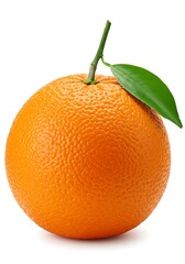 朝の輝き、一粒の橙