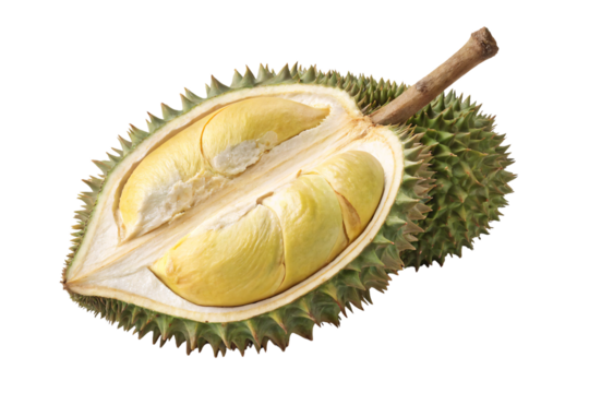 Open durian fruit showing multiple yellow flesh segments separated by natural divisions within spiky green shell, isolated on a transparent background