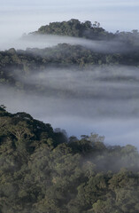 Guyane-forêt tropicale-paysages-plage