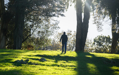 Back-lit man in silhouette walking towards the sunlight. Sun shining through tall trees. Auckland.