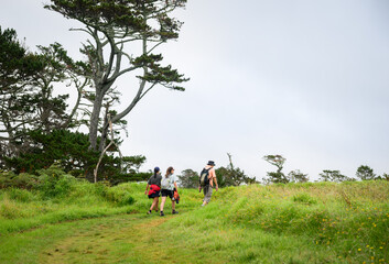 People hiking the Long Bay coastal Okura Track. Auckland.