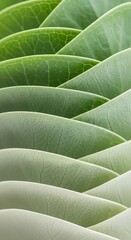 Obraz premium Abstract pattern of overlapping green leaves creating a textured gradient background
