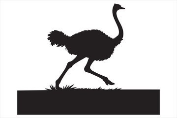 Running Ostrich Black Silhouette Isolated On White Background Vector Illustration.