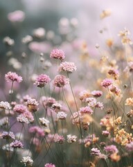 Fototapeta premium Field of wildflowers with soft focus and pastel tones