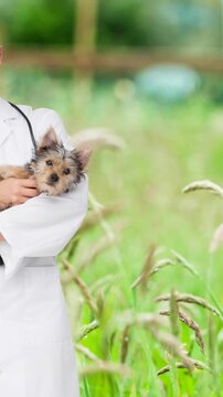 Animation of happy caucasian female vet holding yorkshire terrier pet dog, over grasses in garden