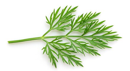 Fototapeta premium 緑の息吹