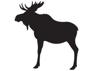 MOOSE SILHOUET