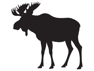 Fototapeta premium MOOSE SILHOUET