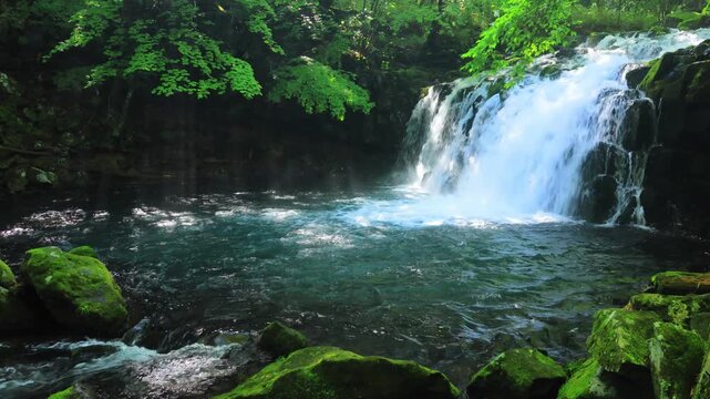 waterfall in the green forest