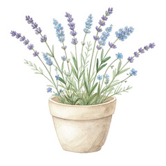Fototapeta premium Flower pot painted Clipart watercolor
