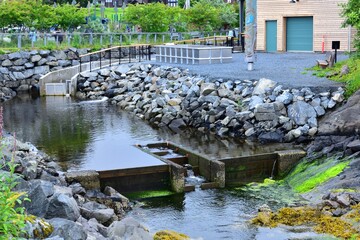 Low water at the Salmon ladder