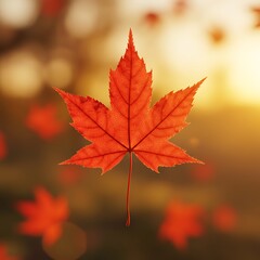 夕暮れの紅葉 (Yūgure no kōyō)