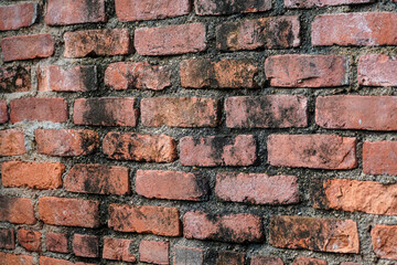 Detailed brick wall showing age and texture, ideal for backgrounds or textures. The rustic appeal and vibrant colors make it perfect for adding character to designs and projects.