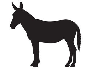 MULE SILHOUETTE
