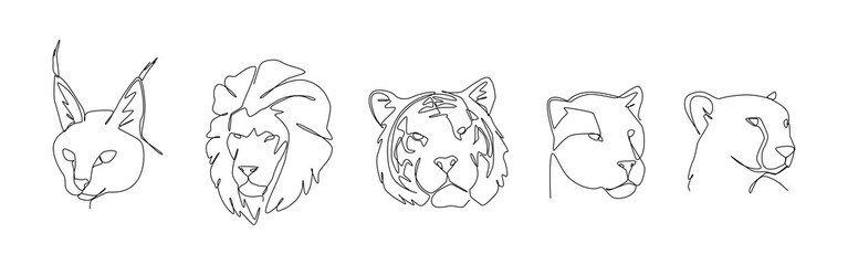 Set continuous one line drawing of big cats. Caracal, Lion, tiger, black panther, and cheetah. Editable line. Vector illustration.