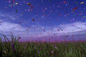 Confetti falls field of lush grass clear blue sky