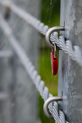  Old and rusty padlocks left by couples on a city bridge, fading yet enduring symbols of affection.