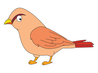 Funny bird isolated on white background