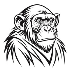 Fototapeta premium Black and white line art drawing of a chimpanzee head with textured fur primate animal