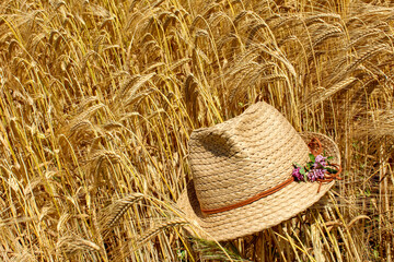 Ripe golden barley ears growing in a farmer's barley field and his straw hat resting on the barley ears symbolize harvest, agriculture and growing grain crops, series "Agriculture".