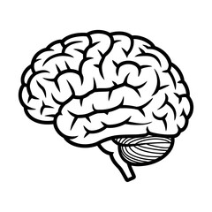 Human brain icon. Outline human brain vector icon for web design isolated on white background 