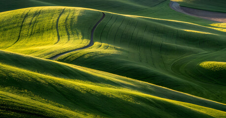 Golden Green Rolling Hills Abstract Landscape at Sunset