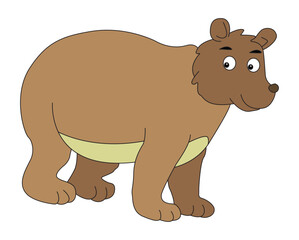 Obraz premium Bear animal isolated on white background