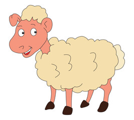 Smiling sheep isolated on white background