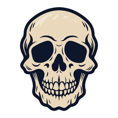 Fototapeta premium Illustrated Skull with Dark Outline and Cream Coloring, HeadOn, Isolated on White