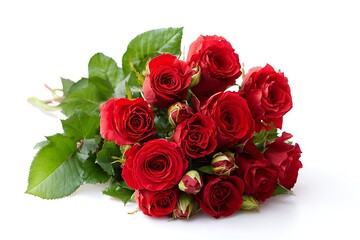 Fototapeta premium Vibrant red ranunculus flower bouquet on white background