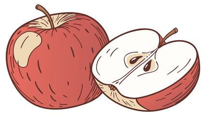 Realistic watercolor apple with soft red gradients, fine brush textures, isolated on blank background.

