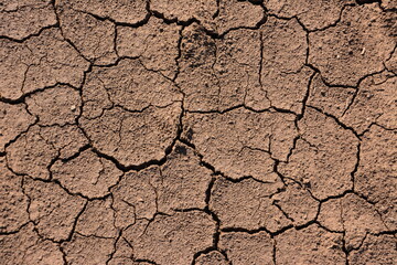 Cracked Earth Texture Drought and Aridity top view