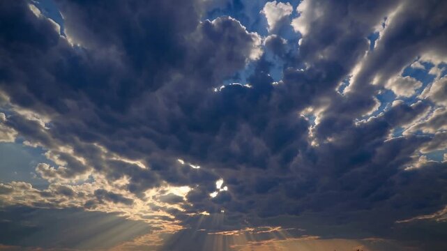 Stunning Aerial Footage of Arafa Birds Soaring Through a Majestic Sunset Sky, Ideal for Inspiring and Tranquil Projects.