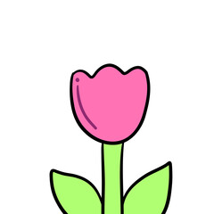 tulip flower vector