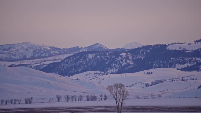 Pink Sky over Snow Covered Valleys and Trees