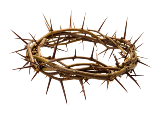 A weathered crown of sharp, intertwined thorns evokes a powerful sense of historical pain.