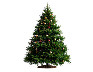 Fototapeta premium A festive evergreen tree stands tall, adorned with shimmering ornaments and twinkling lights.