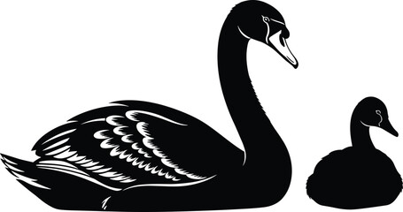 Black swan with cygnet silhouette, nature bird illustration, elegant animal pose, wildlife art design, peaceful waterfowl moment, family bonding